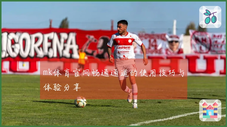 mk体育官网畅通通道的使用技巧与体验分享
