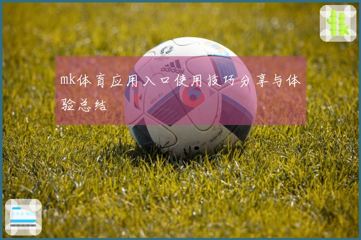 mk体育应用入口使用技巧分享与体验总结
