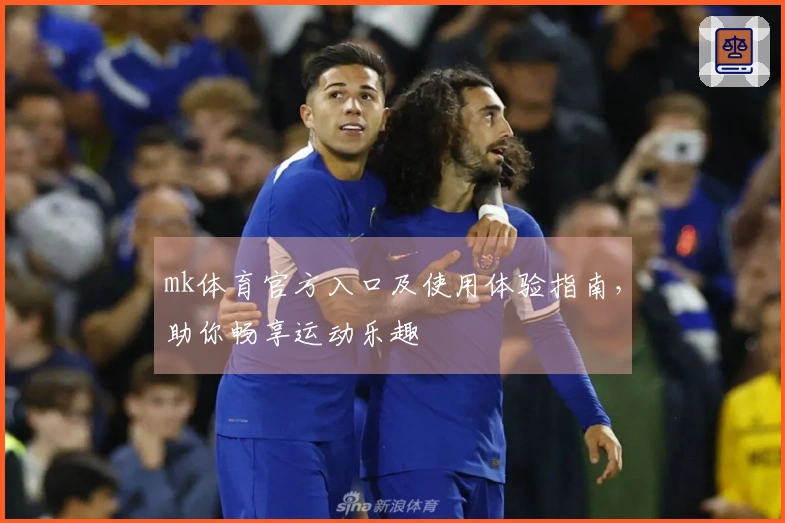 mk体育官方入口及使用体验指南，助你畅享运动乐趣