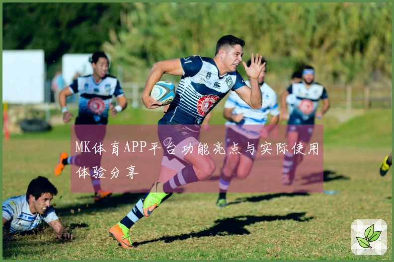 MK体育APP平台功能亮点与实际使用体验分享