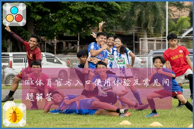 mk体育官方入口使用体验及常见问题解答
