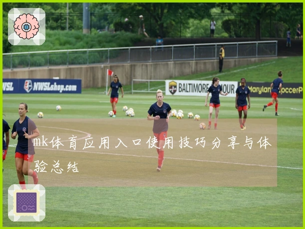 mk体育应用入口使用技巧分享与体验总结